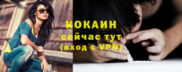 мдпв Бородино