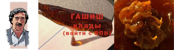 мдпв Бородино