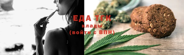 мдпв Бородино