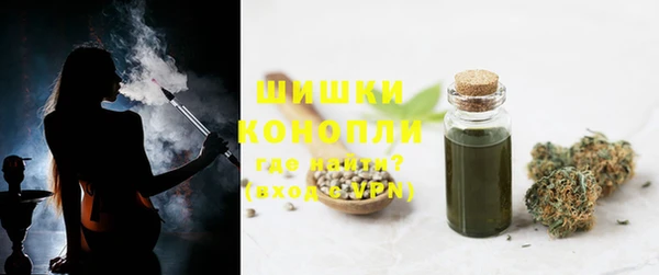 мдпв Бородино