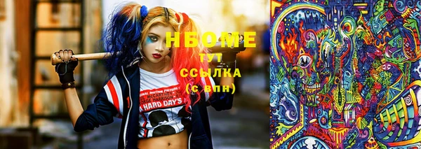 мдпв Бородино