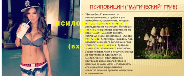 мдпв Бородино