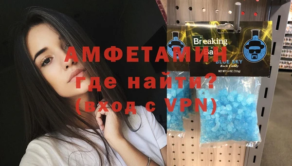 мдпв Бородино