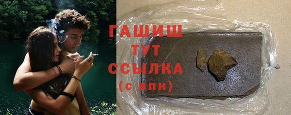 мдпв Бородино