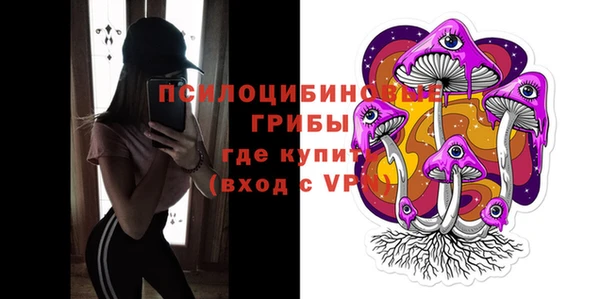 мдпв Бородино