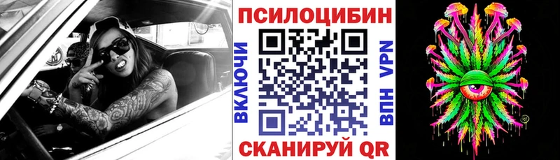 Псилоцибиновые грибы Psilocybine cubensis Горно-Алтайск